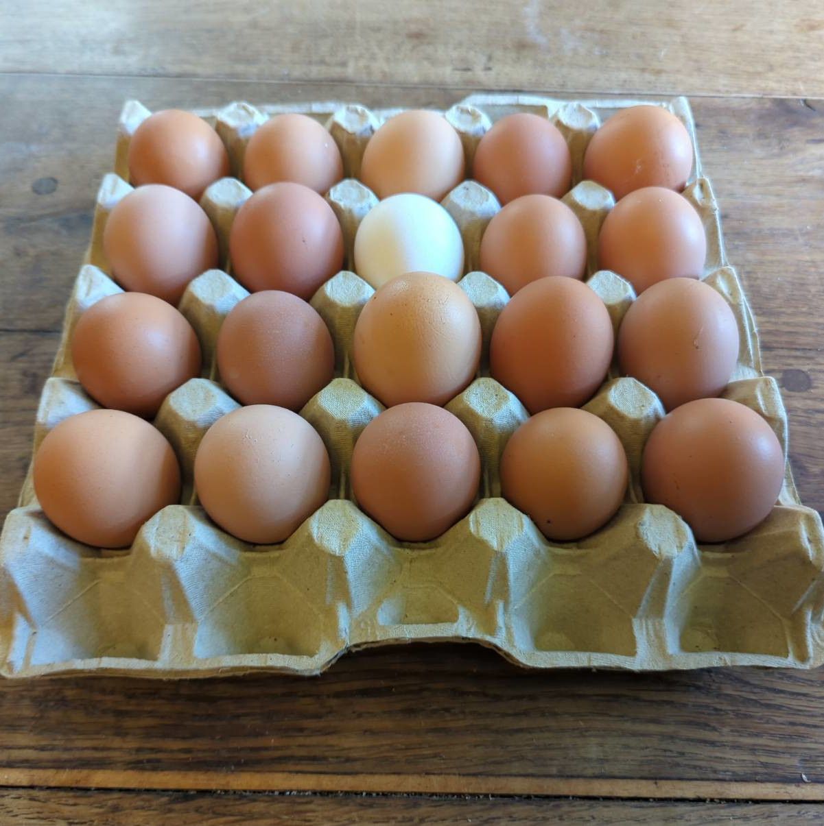 Free Range Eggs - Tray of 20