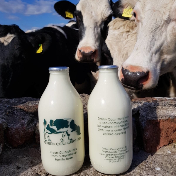 Pint – Whole milk